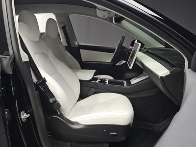 2022 Tesla MODEL Y 缩略图 13