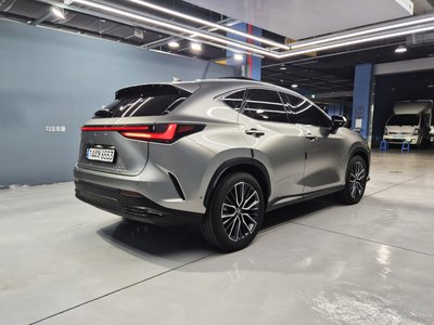LEXUS NX - 6
