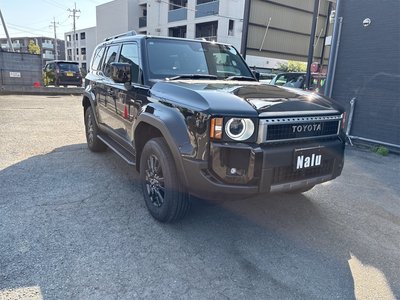 TOYOTA LAND CRUISER - 3