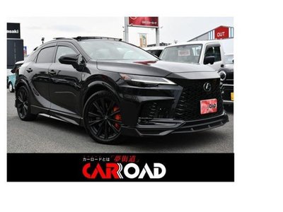 LEXUS RX - 1