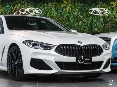2020 BMW 8 SERIES GRAN COUPE — миниатюра 26