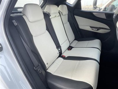 2023 Lexus NX — миниатюра 22