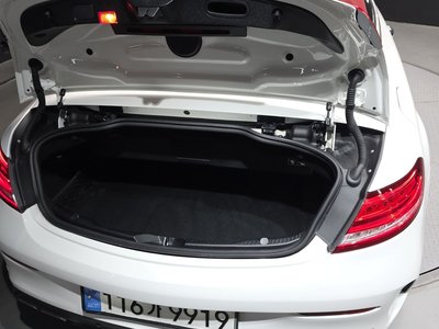2018 Mercedes-BENZ C-CLASS 缩略图 30
