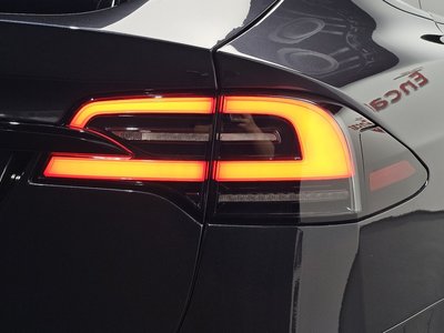 2024 TESLA MODEL X 照片 10