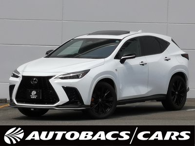 LEXUS NX - 1