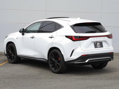 LEXUS NX - 10