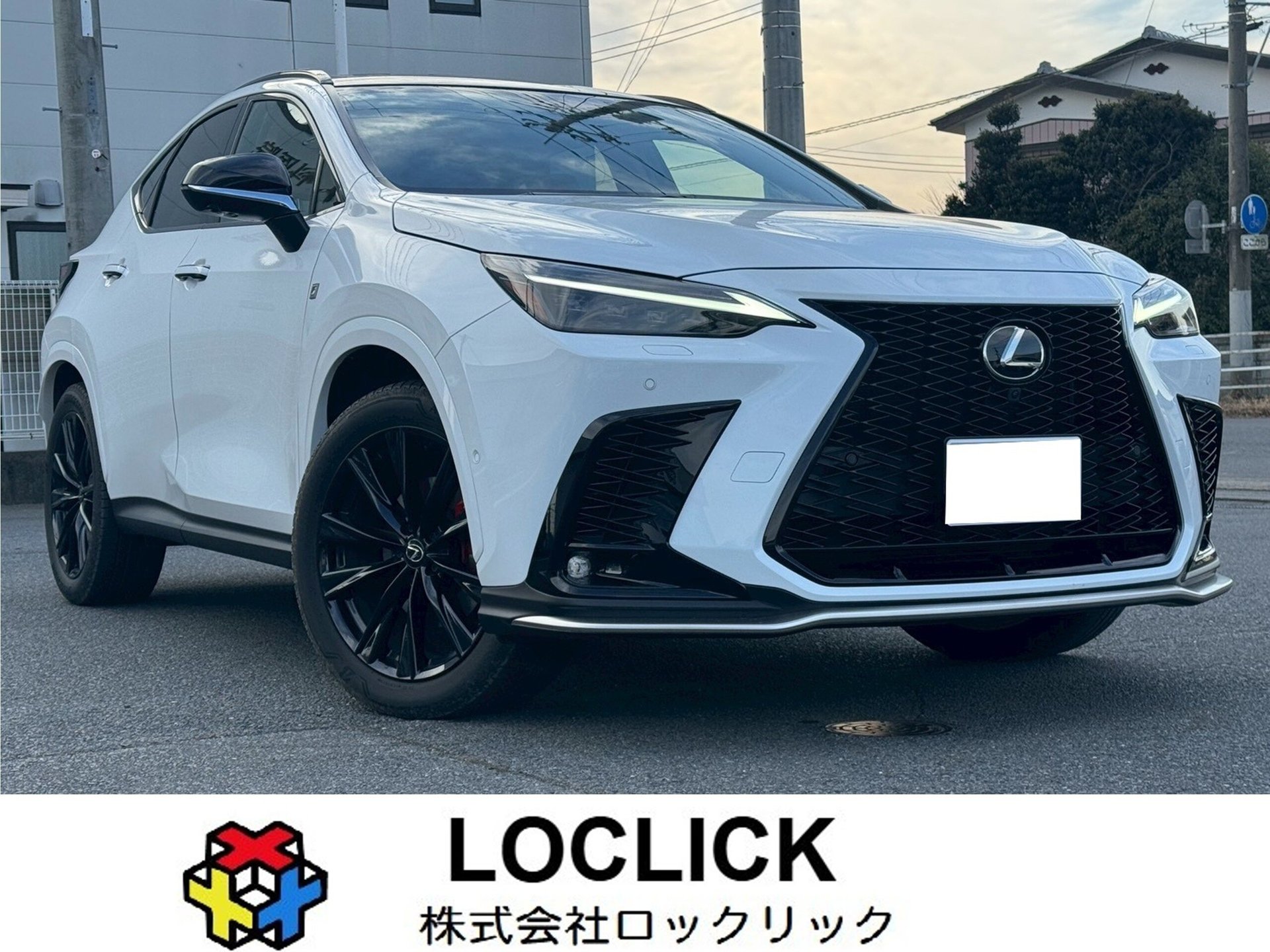 LEXUS NX - View 1