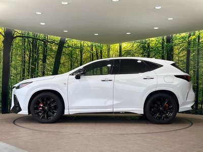 2024 Lexus NX thumbnail 25