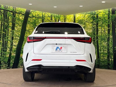 2024 Lexus NX thumbnail 15