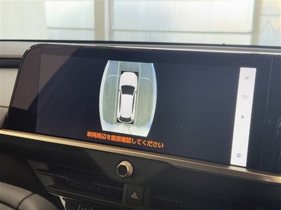 TOYOTA CROWN SPORT - 9