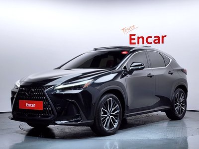 LEXUS NX - 1