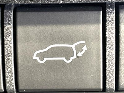 TOYOTA LAND CRUISER 250 - 7