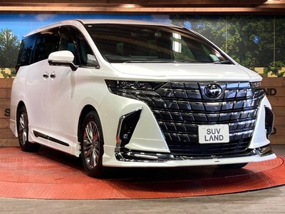 2024 Toyota ALPHARD 缩略图 17