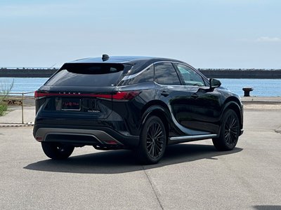 صورة 10 لـ 2023 Lexus RX