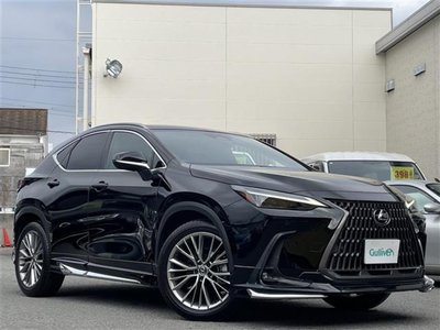 LEXUS NX - 1