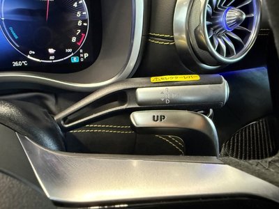صورة مصغرة 50 لـ 2025 Mercedes-BENZ GT AMG