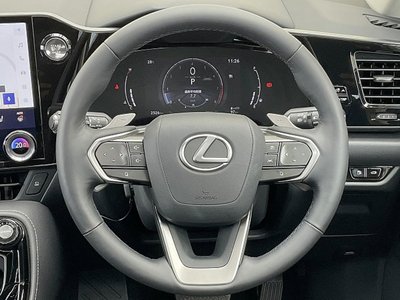 LEXUS NX - 10