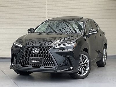 LEXUS NX - 1