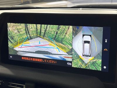 TOYOTA LAND CRUISER 250 - 5