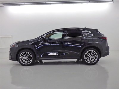 2023 Lexus NX 缩略图 17