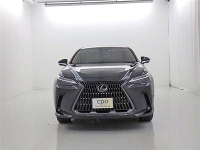 2023 Lexus NX 缩略图 16