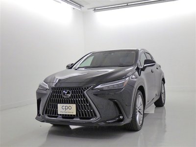 LEXUS NX - 1
