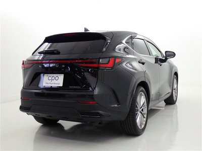 2023 Lexus NX 缩略图 18