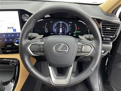 LEXUS NX - 10