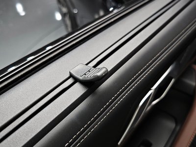 2020 BMW X6 thumbnail 29