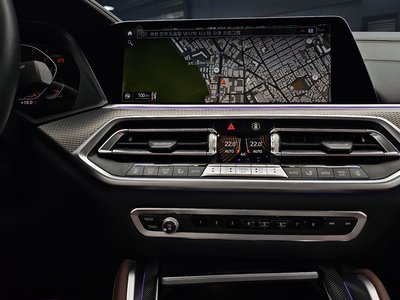 2020 BMW X6 thumbnail 19