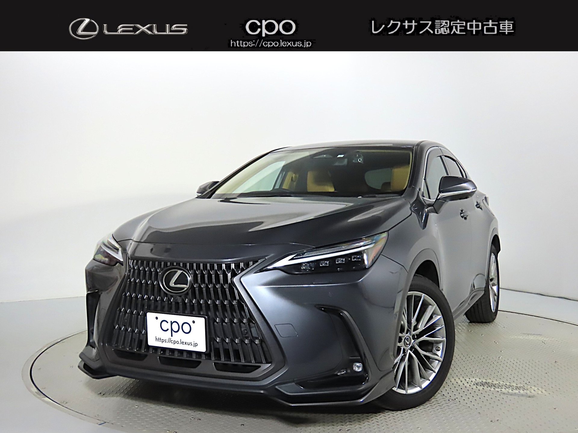 LEXUS NX - View 1