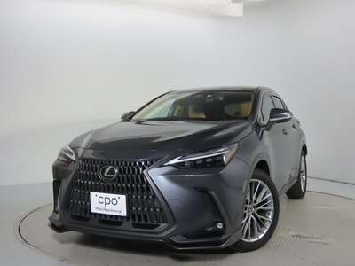 LEXUS NX - 6