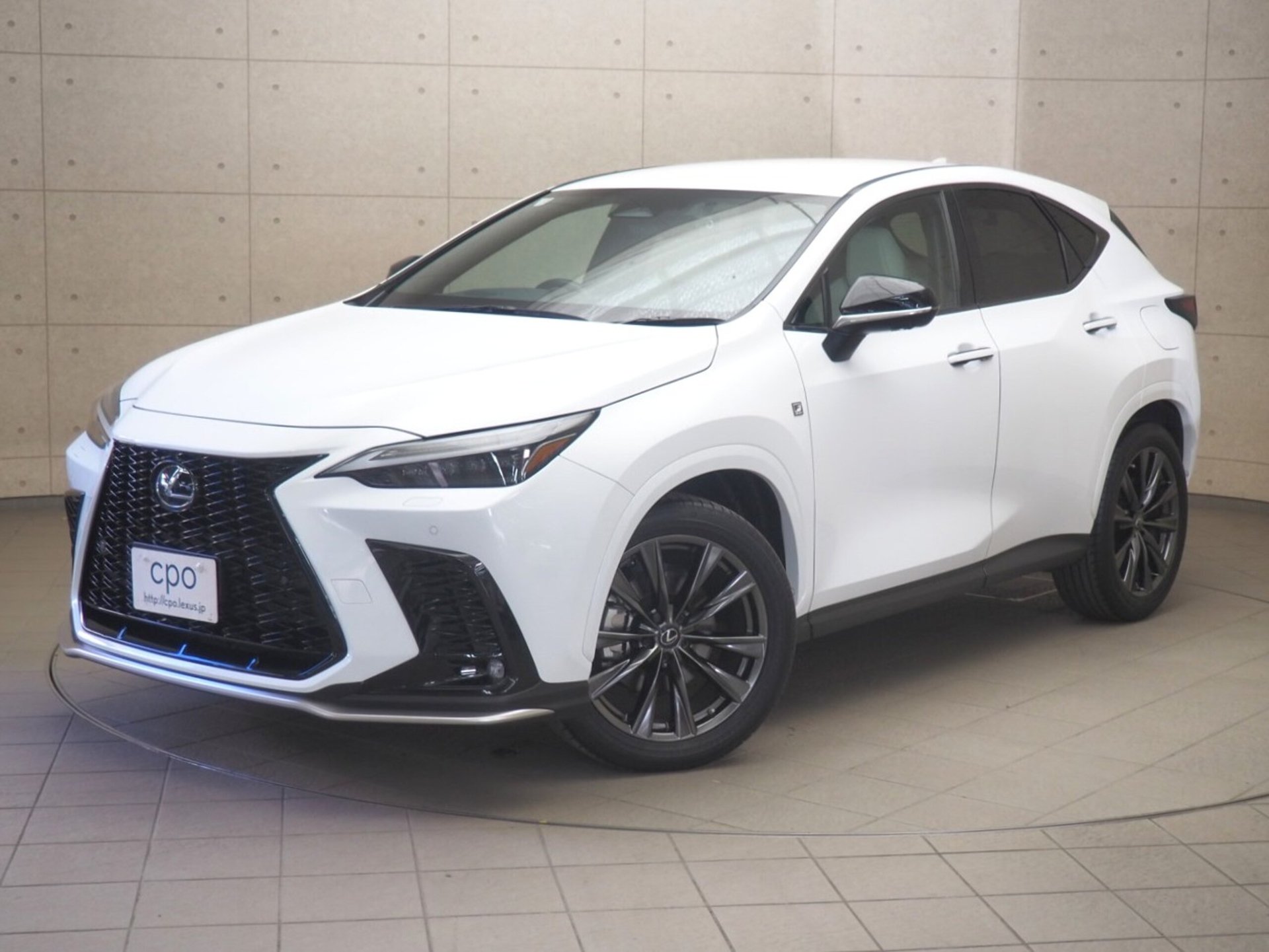 LEXUS NX - View 1