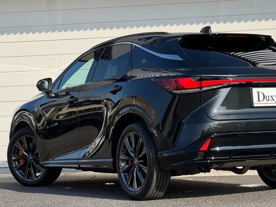2025 Lexus RX 缩略图 30