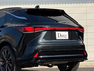2025 Lexus RX 缩略图 29