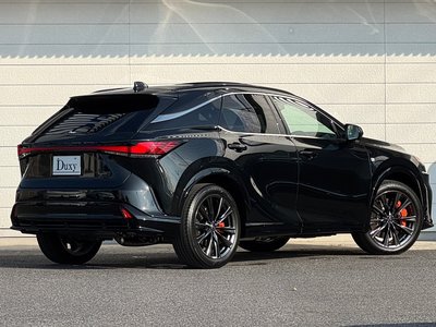 2025 Lexus RX 缩略图 32