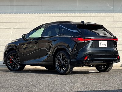 2025 Lexus RX 缩略图 31