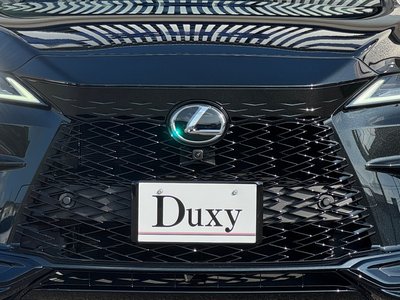 2025 Lexus RX 缩略图 18