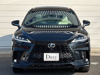 2025 Lexus RX 缩略图 19