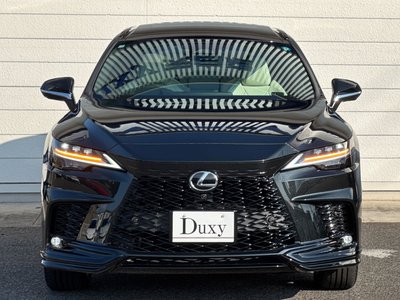 2025 Lexus RX 缩略图 20
