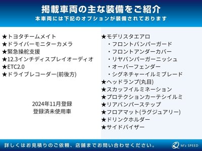 TOYOTA LAND CRUISER 250 - 2