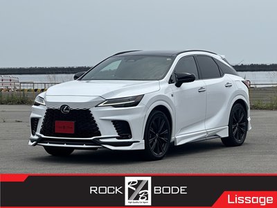 2023 Lexus RX photo 1
