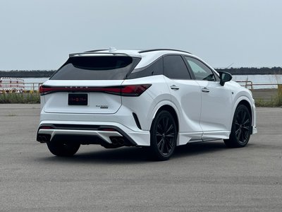 2023 Lexus RX photo 10