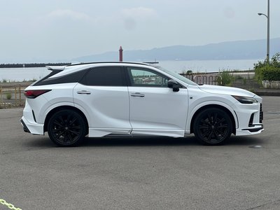 2023 Lexus RX photo 9