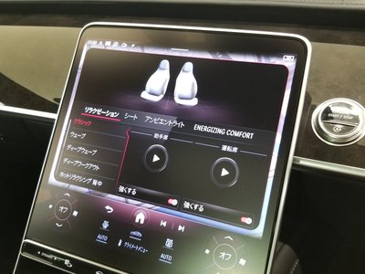 2025 Mercedes-BENZ S-CLASS 缩略图 45