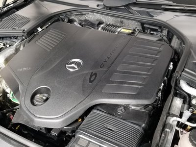 2025 Mercedes-BENZ S-CLASS 缩略图 66