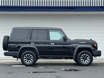 2025 Toyota LAND CRUISER 70 缩略图 19