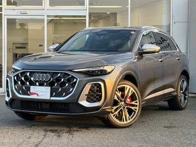 2025 AUDI SQ5 photo 6