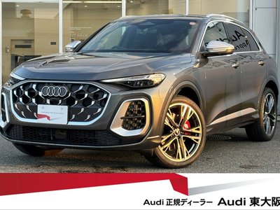 2025 AUDI SQ5 photo 1