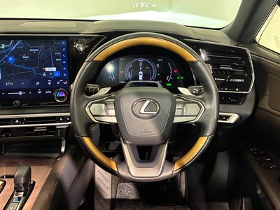 2024 Lexus RX 缩略图 19